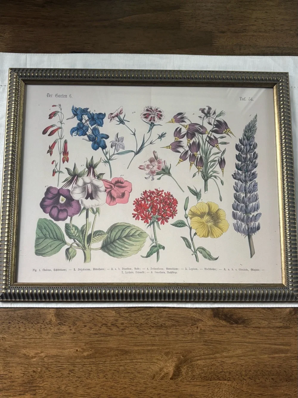 Floral Botanical Print Wall Art in Multi-Color